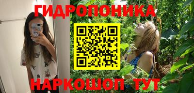 гидра Обь