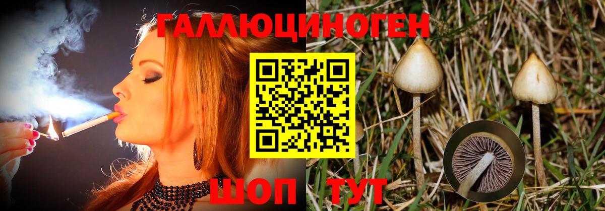 Галлюциногенные грибы Psilocybe Пыть-Ях