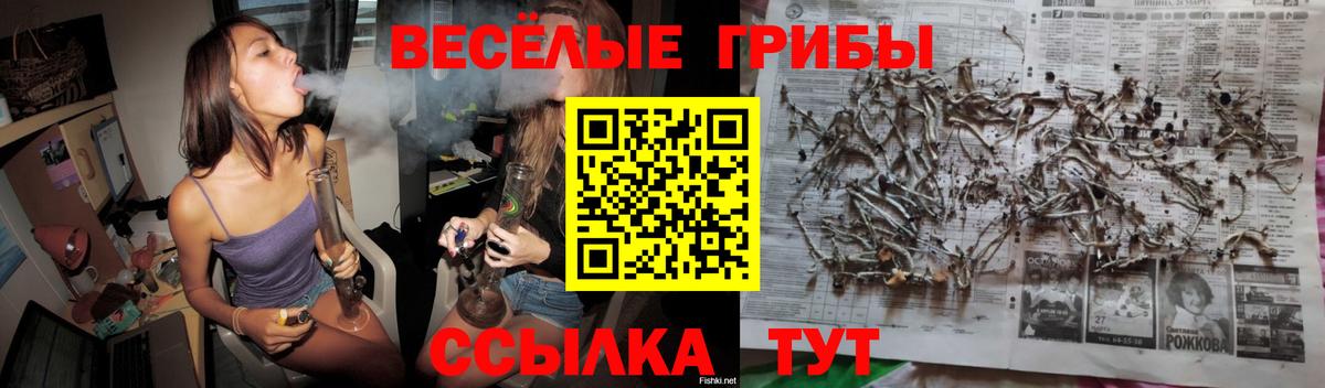 Псилоцибиновые грибы ЛСД  закладки  Пыть-Ях  Вход с VPN 